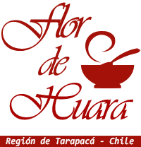 Flor de Huara - Región de Tarapacá - Chile